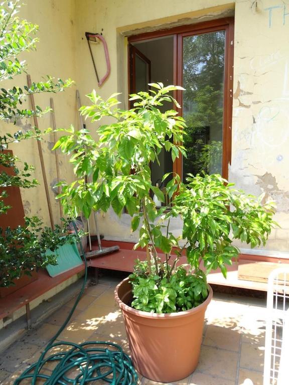 Garden Apartment On Art Nouveau Street In Central Prague Praga Exterior foto